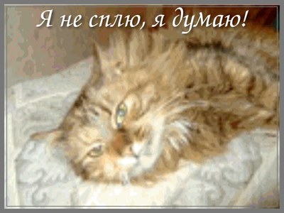 � �� ����, � �����!